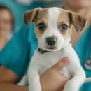 성대농장 이미지