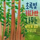 빛과나무 이미지
