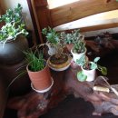 새재골가든 이미지