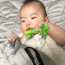 시현광택 이미지