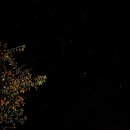 자작나무숲입구(수산리604) | 가을단풍캠핑 강원도 인제 자작나무 오토캠핑장 별 볼 수 있는 곳