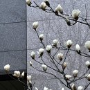 이삭토스트 유니시티점 이미지