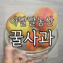 사과배송 아달달 농산 꿀사과