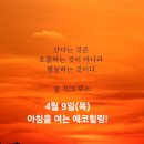 에코힐링