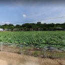 수당1리경로당 이미지