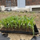 성안나유치원 이미지