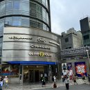 명동 이미지