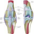 파리스동물병원 이미지