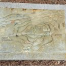 보현산 등산로 이미지