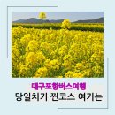호미곶경관영농조합법인 | [공지] 대구포항버스여행 당일치기 호미곶 유채꽃과 환호공원 스페이스워크