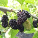 송곡농장 이미지