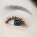 (주)아이블리 이미지