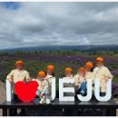 제주도 동부 티스토리