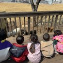 쥬쥬랜드 이미지