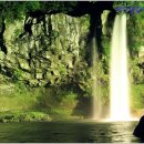 천지연폭포 이미지