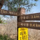 영 농장 이미지