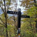 단양군 제비봉-구담봉-옥순봉-출렁다리 (2025.11.08) 이미지