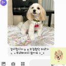 웃개살롱 이미지