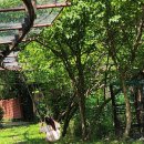 반달곰 가족 이미지