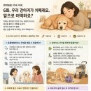 [반려동물 20세 시대] 우리 강아지가 치매래요. 앞으로 어떡하죠? 이미지