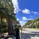 더올(The all) | 칸쿤호텔 더 로얄 샌즈 올 인클루시브 후기 _ The Royal Sands All Inclusive