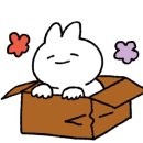 제주함덕청춘어시장 이미지