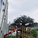 운암제2근린공원 | 아이랑 가기 좋은 오산시청 놀이터 주차장 정보 포함