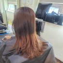 장원약품 이미지