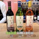 함해국케이푸드연구소 | 일본 홋카이도 오비히로 이케다 와인성 토카치 와인이 궁금하다면 여행 가볼 만한 곳