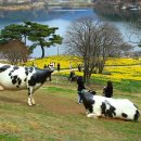 풍경목장 이미지