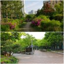 동백호수공원 이미지