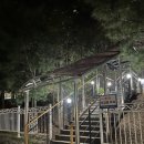 농구장 옆 횡단보도 이미지