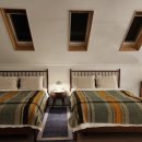 제주 낙산로 181 이미지