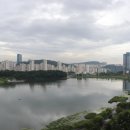 대림롯데천사공인중개사사무소 | 광교 중흥s클래스 전세, 기회가 오네요