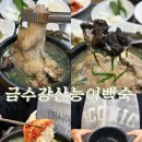 금수강산 식당 | 청주 가경동 터미널 맛집 금수강산능이백숙
