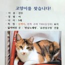 유진당구장 이미지