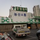 중앙칼라 이미지