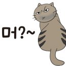 땅끝수산 네이버블로그