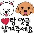 쏭스토랑 이미지