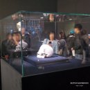 상정제옆세천 | 데이미언허스트 전시 관람후기 (예매치열, 상세작품 설명 포함)