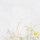 다나의원 이미지