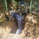 동백고등학교 이미지