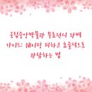 2학기(3월~6월) / 생생 일본어 회화(고급-11시30분) | 국립중앙박물관 무료전시 완벽 가이드: 웨이팅 피하고 효율적으로 관람하는 법