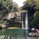 서귀동-22 이미지