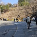 광양사슴농장 이미지