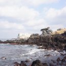 제주도횟집 - 사천시 구송로 3 | 제주도횟집