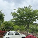 태화연 야영장 1 | 5월 연휴의 마지막은 솔캠으로! IN 울산 태화연 오토캠핑장