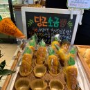 폴렌베이커리 네이버블로그