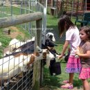 골집농장 이미지