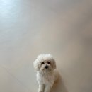 똑독트레이닝스쿨 이미지